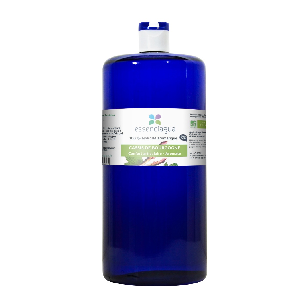 Hydrolat de Cassis de Bourgogne 100% Bio et Artisanal — photo 4