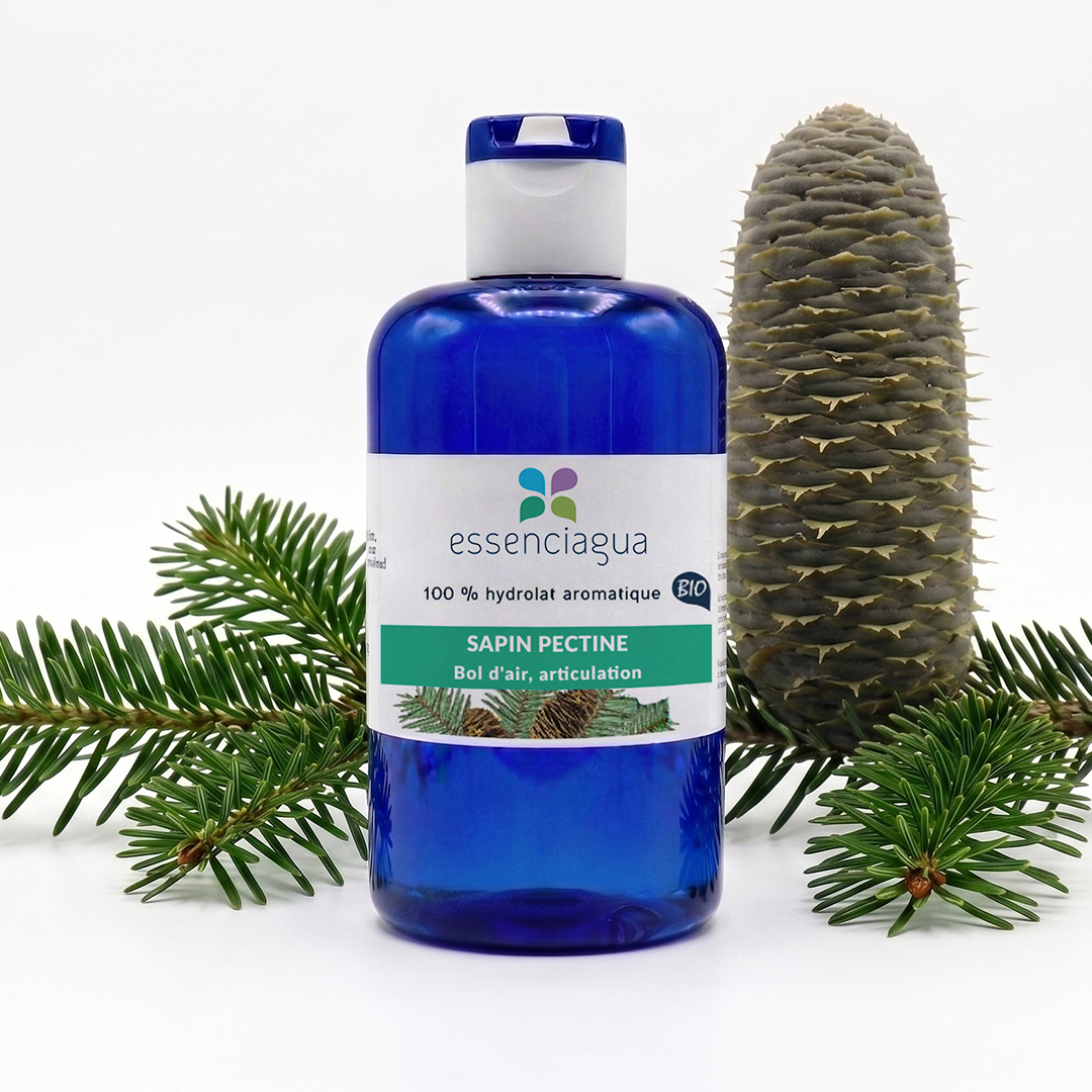 Hydrolat de Sapin pectiné 100% Bio et Artisanal