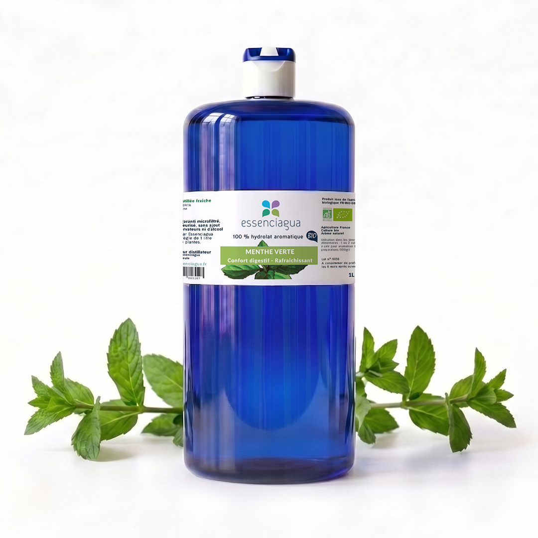 Hydrolat de Menthe verte 100% Bio et Artisanal — photo 3