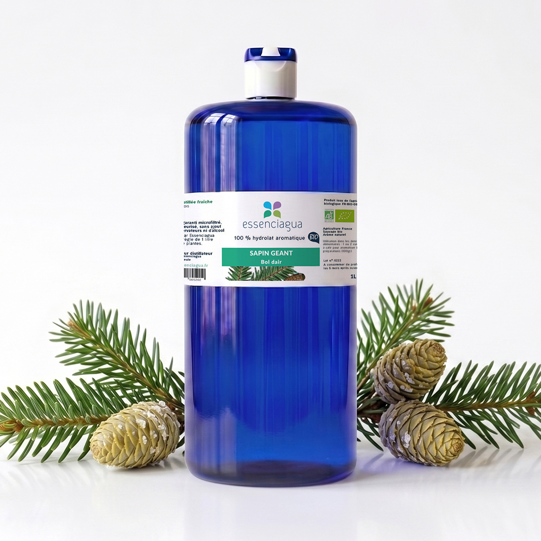 Hydrolat de Sapin géant 100% Bio et Artisanal — photo 3