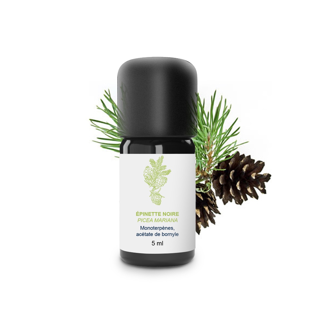 Huile Essentielle d'Epinette noire 100% Bio et Artisanal