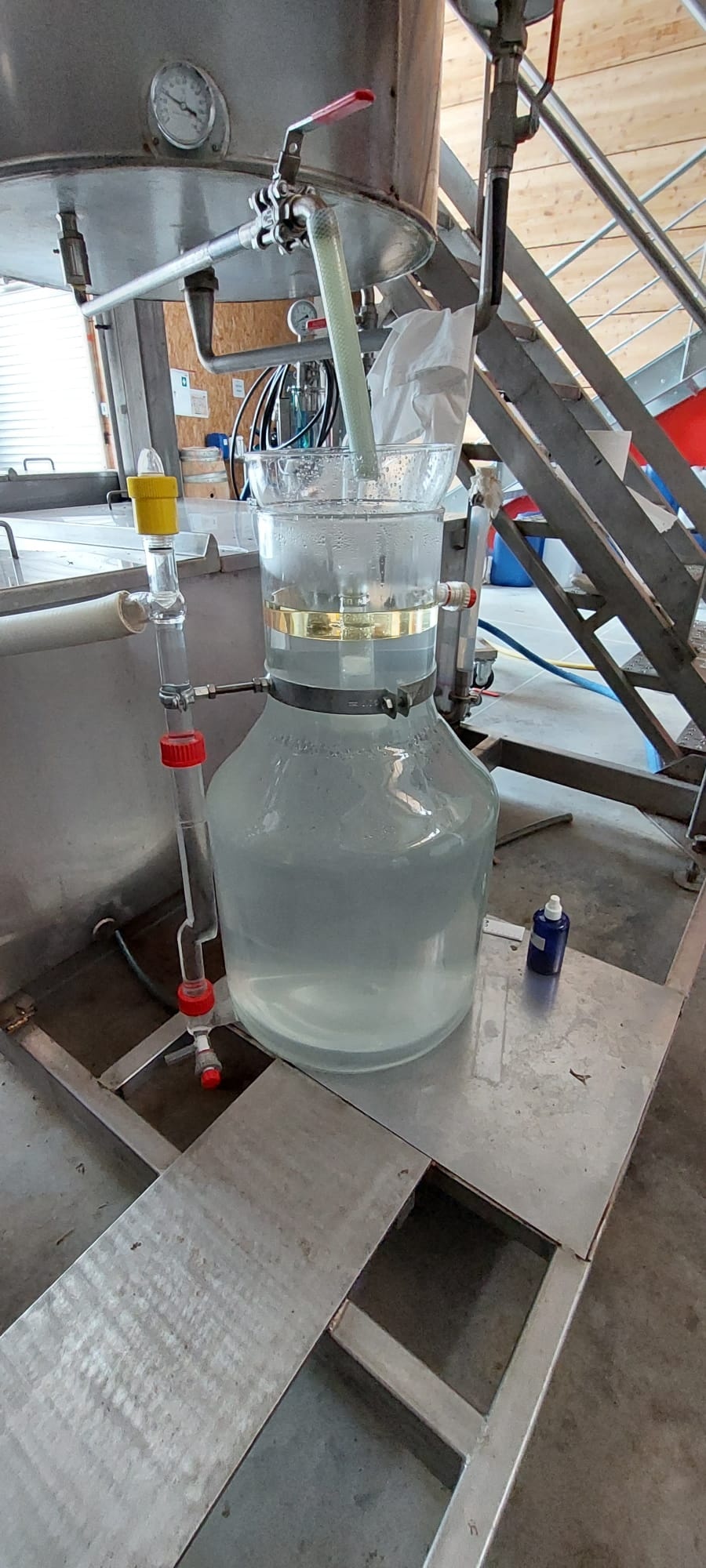 Decouvrez la distillation Hydrolat d'Angélique (Racine) 100% Bio et Artisanal