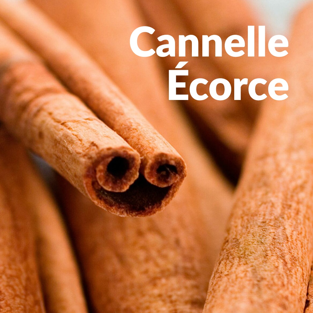 Cannelle (Écorce)
