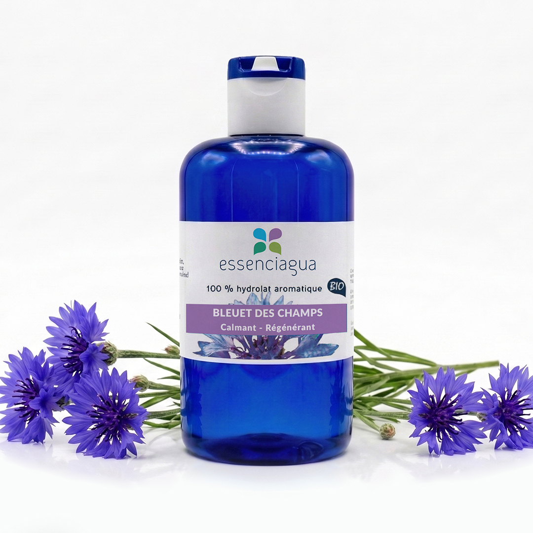 Hydrolat de Bleuet des champs 100% Bio et Artisanal
