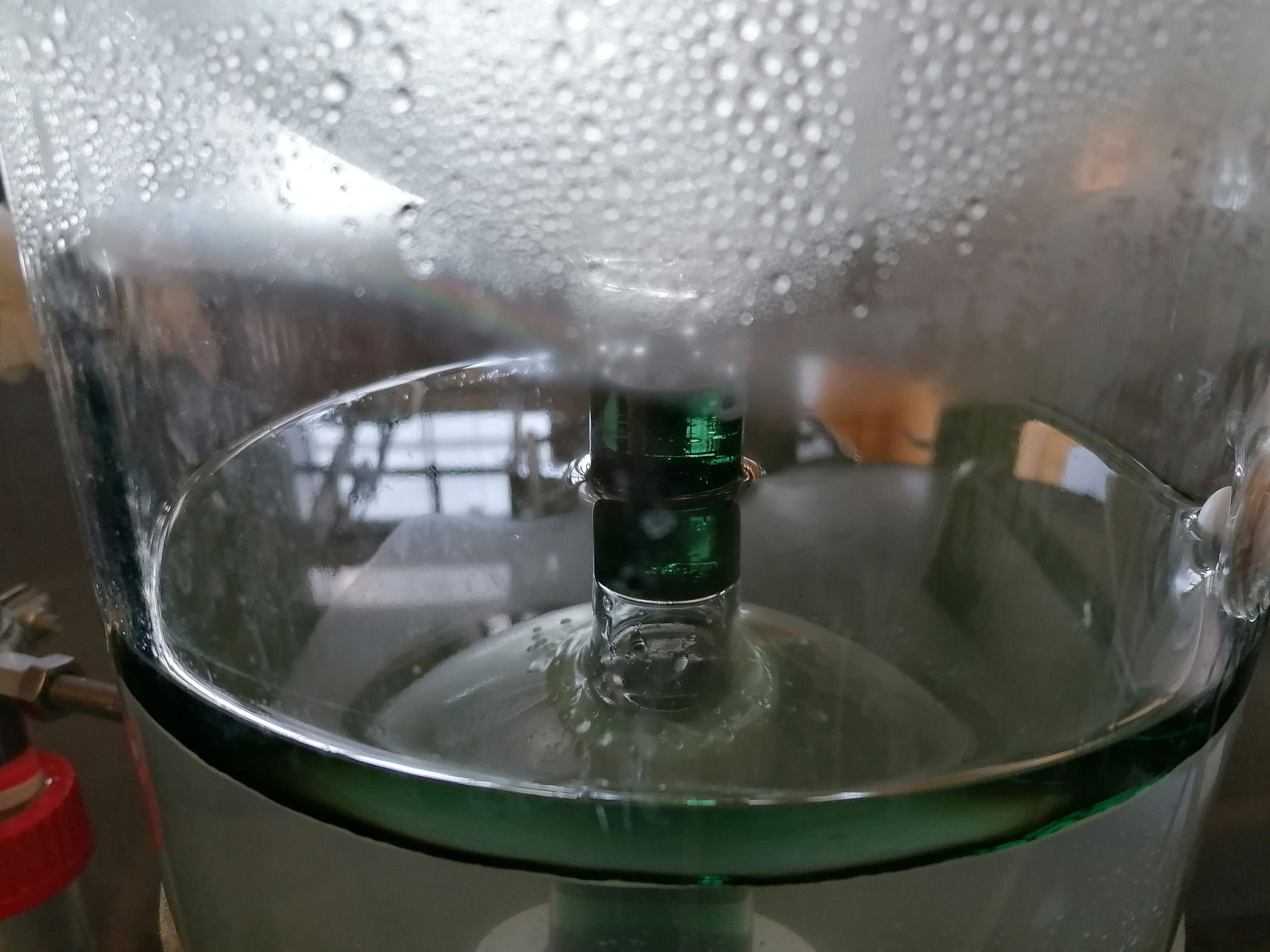 Decouvrez la distillation Huile Essentielle de Géranium rosat bourbon 100% Bio et Artisanal