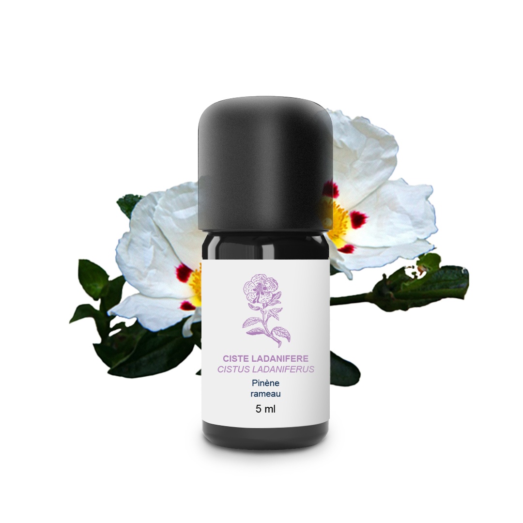 Huile Essentielle de Ciste 100% Bio et Artisanal