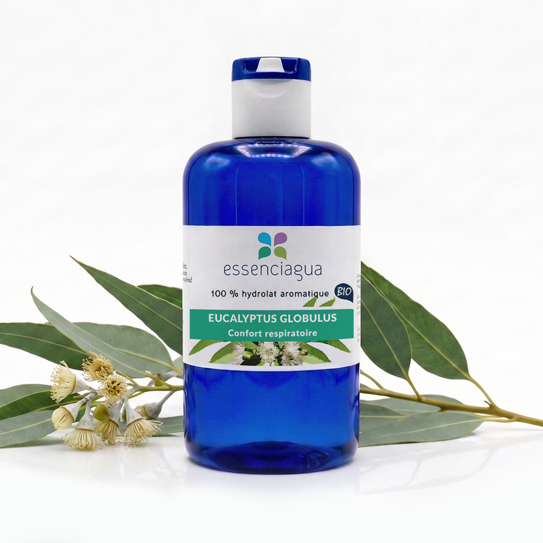 Hydrolat d'Eucalyptus globulus 100% Bio et Artisanal