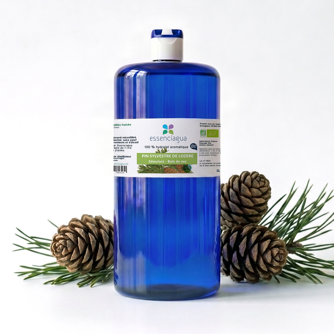 Hydrolat de Pin sylvestre 100% Bio et Artisanal — photo 3