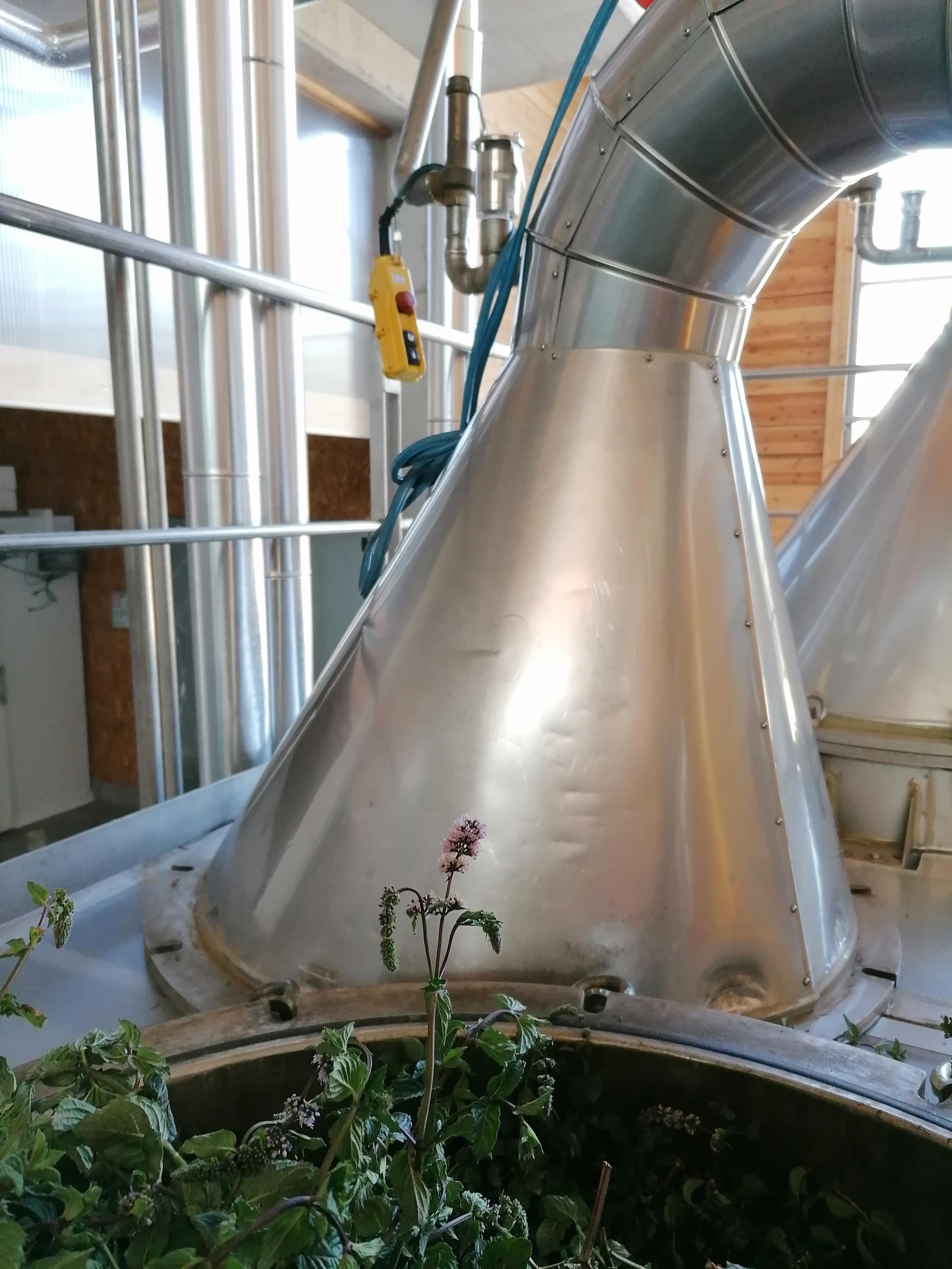Decouvrez la distillation Kit Inhalateur en bambou - Tonique 100% Bio et Artisanal