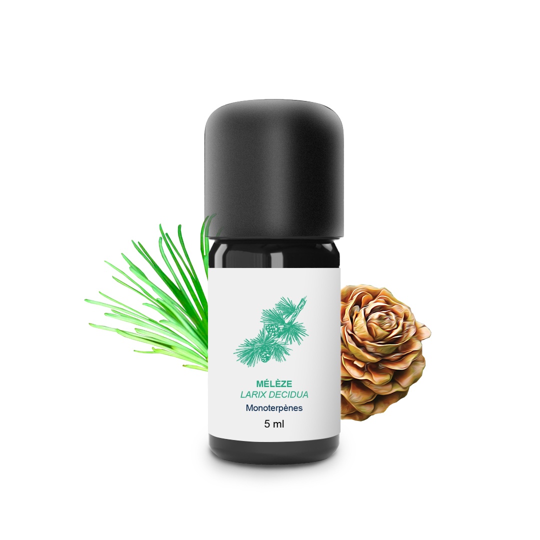 Huile Essentielle de Mélèze 100% Bio et Artisanal