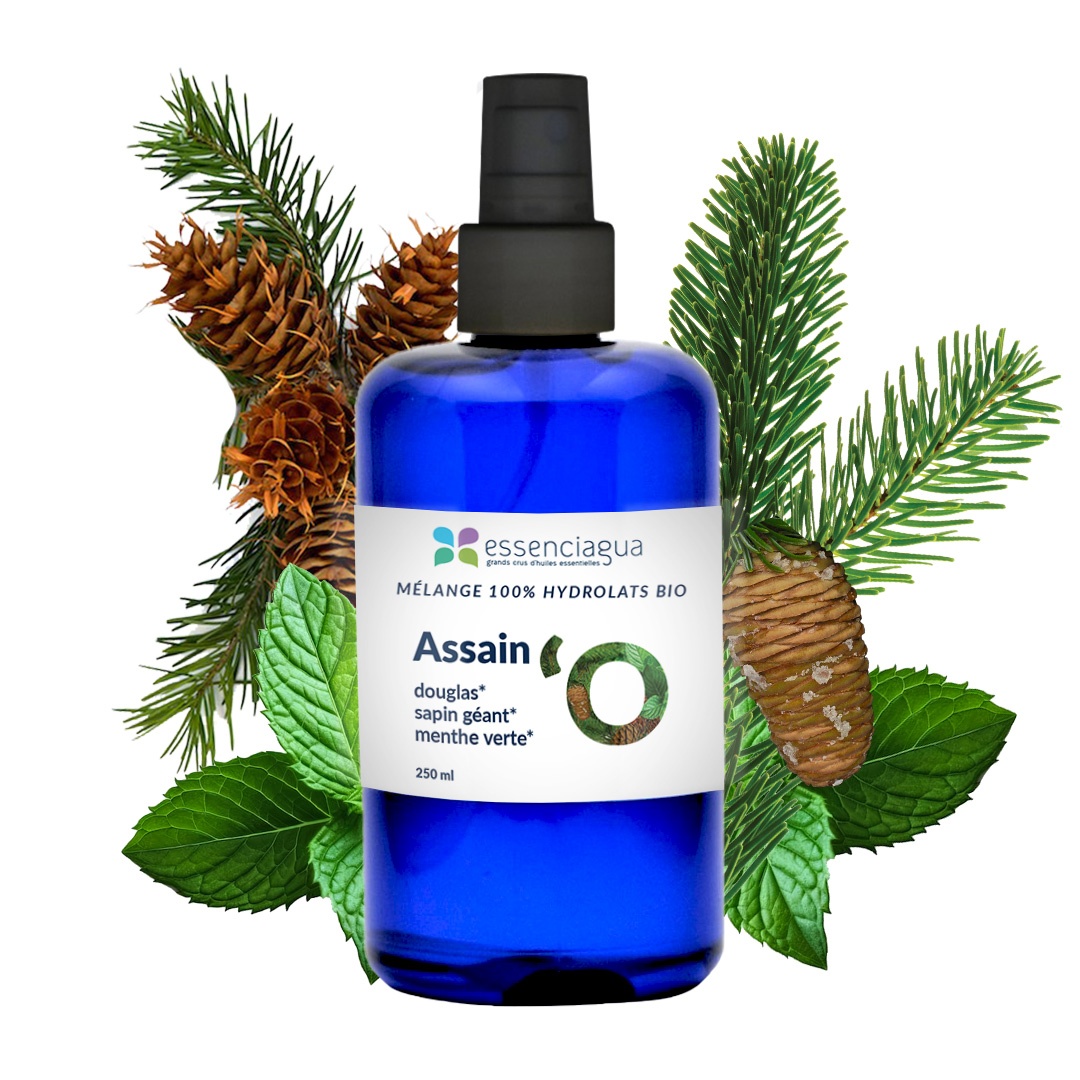 Mélange d'hydrolats aromatiques Assain'O