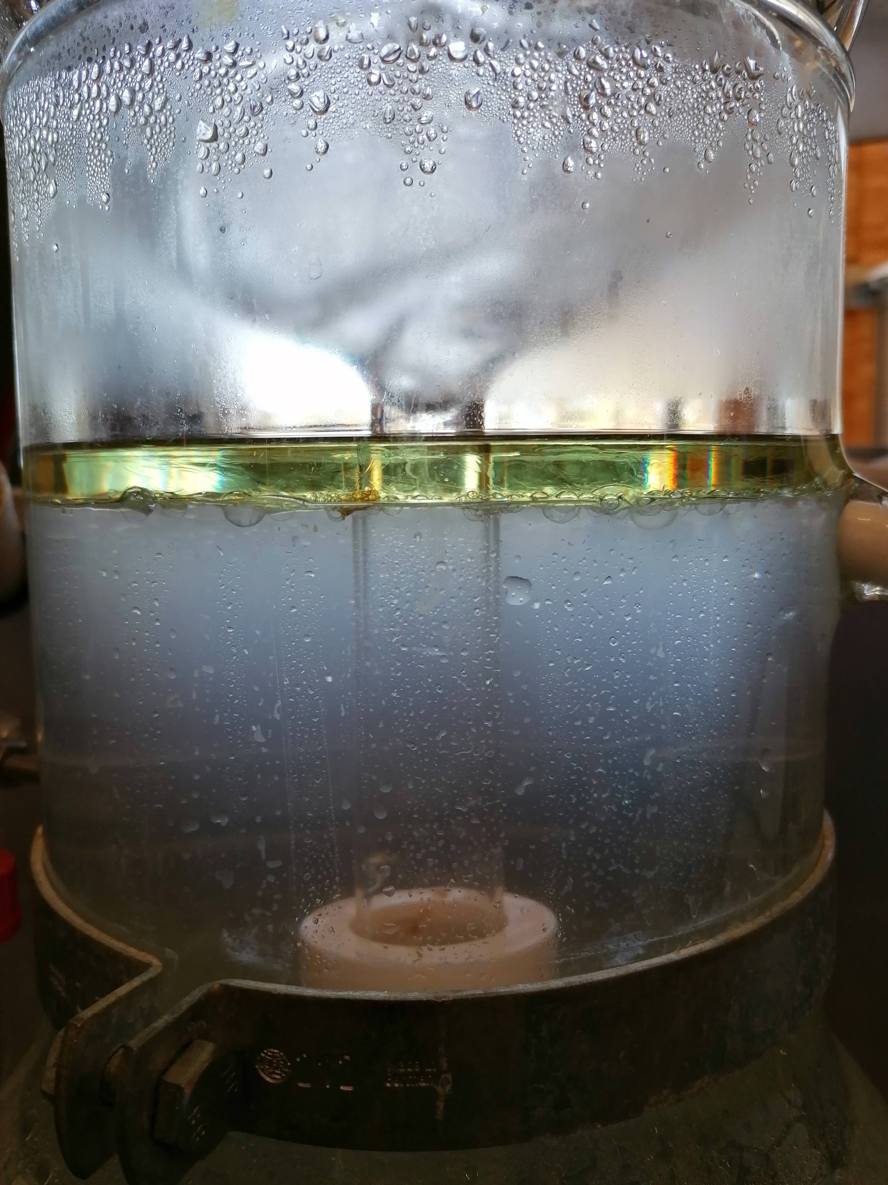 Decouvrez la distillation Hydrolat de Cèdre de l'Atlas 100% Bio et Artisanal