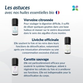 Recommandation détox au printemps