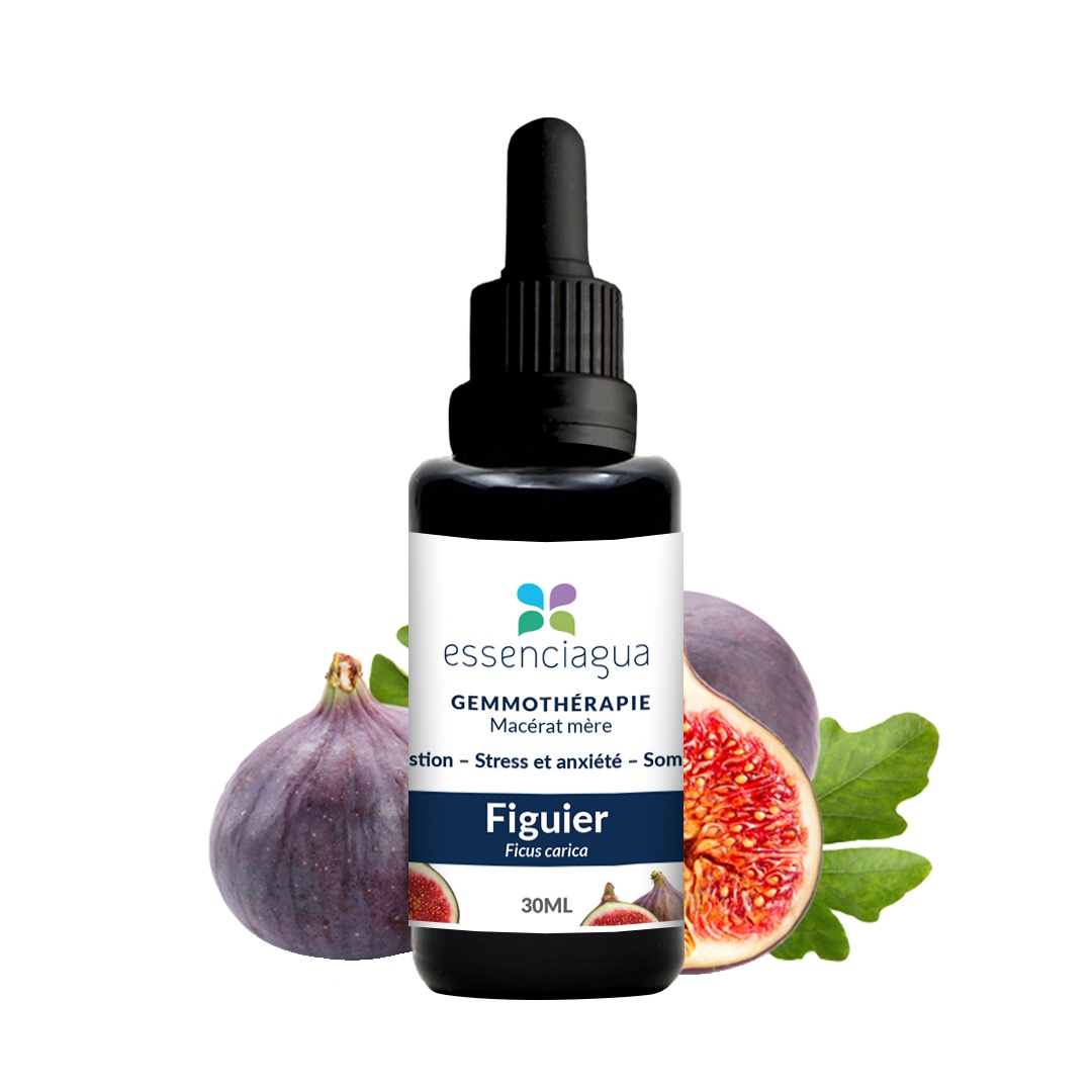 Macérat de bourgeons bio Figuier 100% Bio et Artisanal