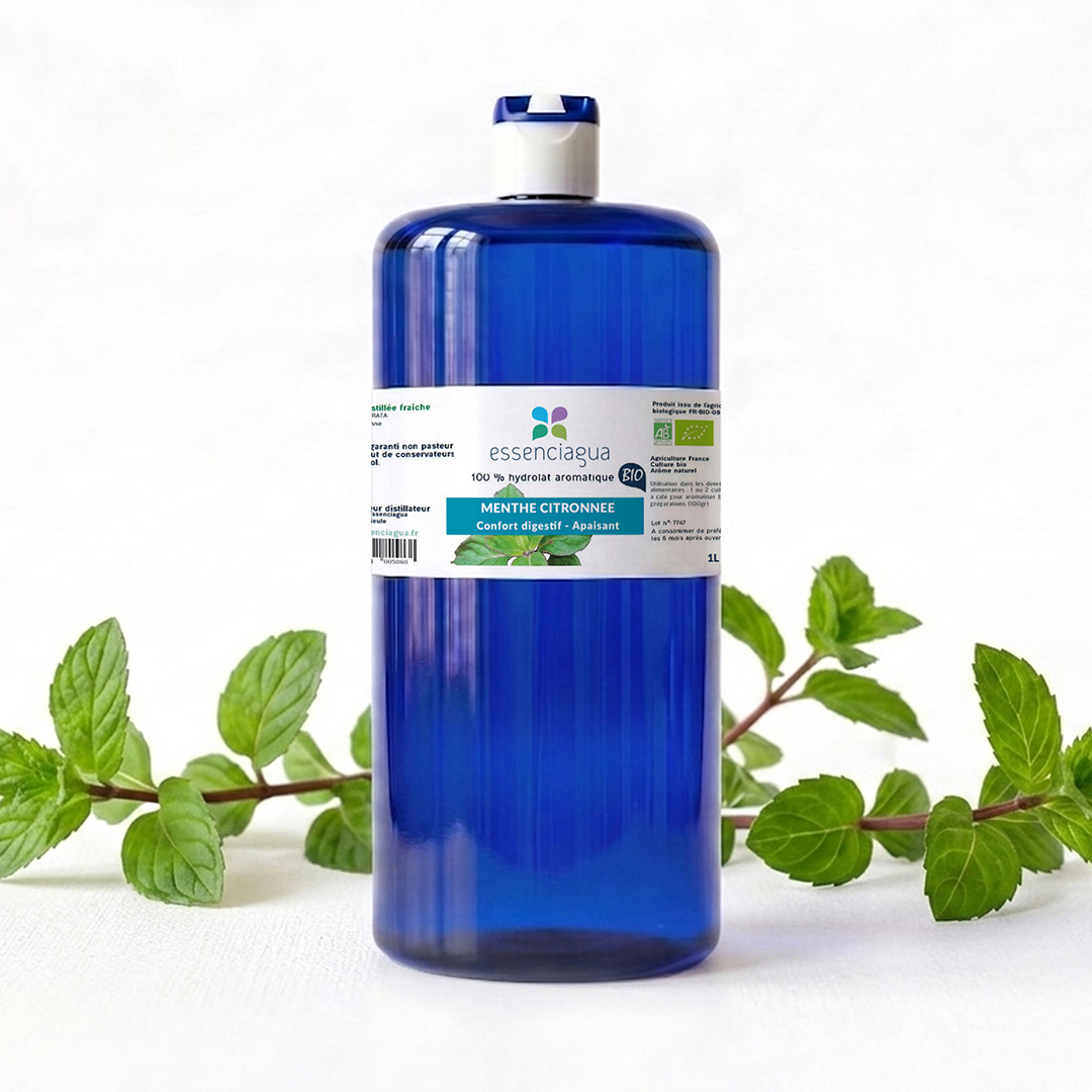 Hydrolat de Menthe citronnée 100% Bio et Artisanal — photo 3