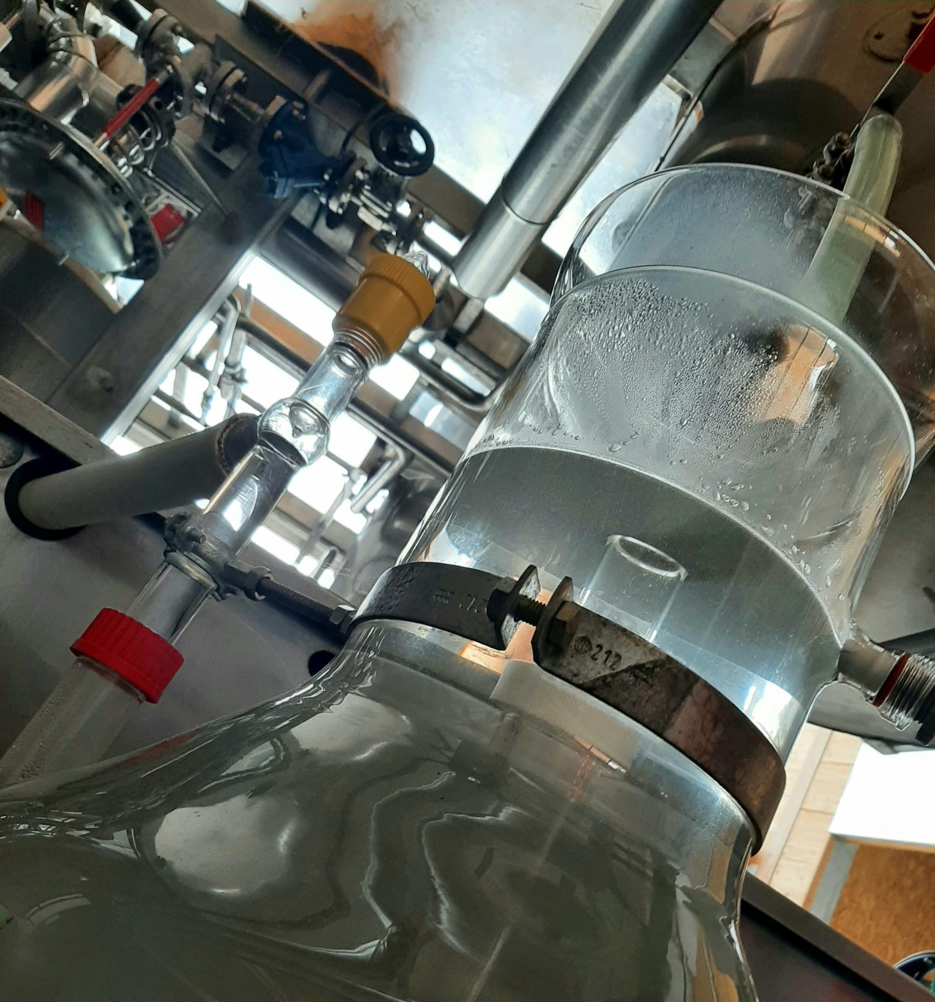 Decouvrez la distillation Hydrolat de Bleuet des champs 100% Bio et Artisanal