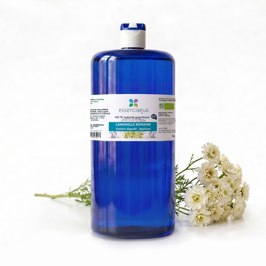 Hydrolat de Camomille romaine 100% Bio et Artisanal — photo 3