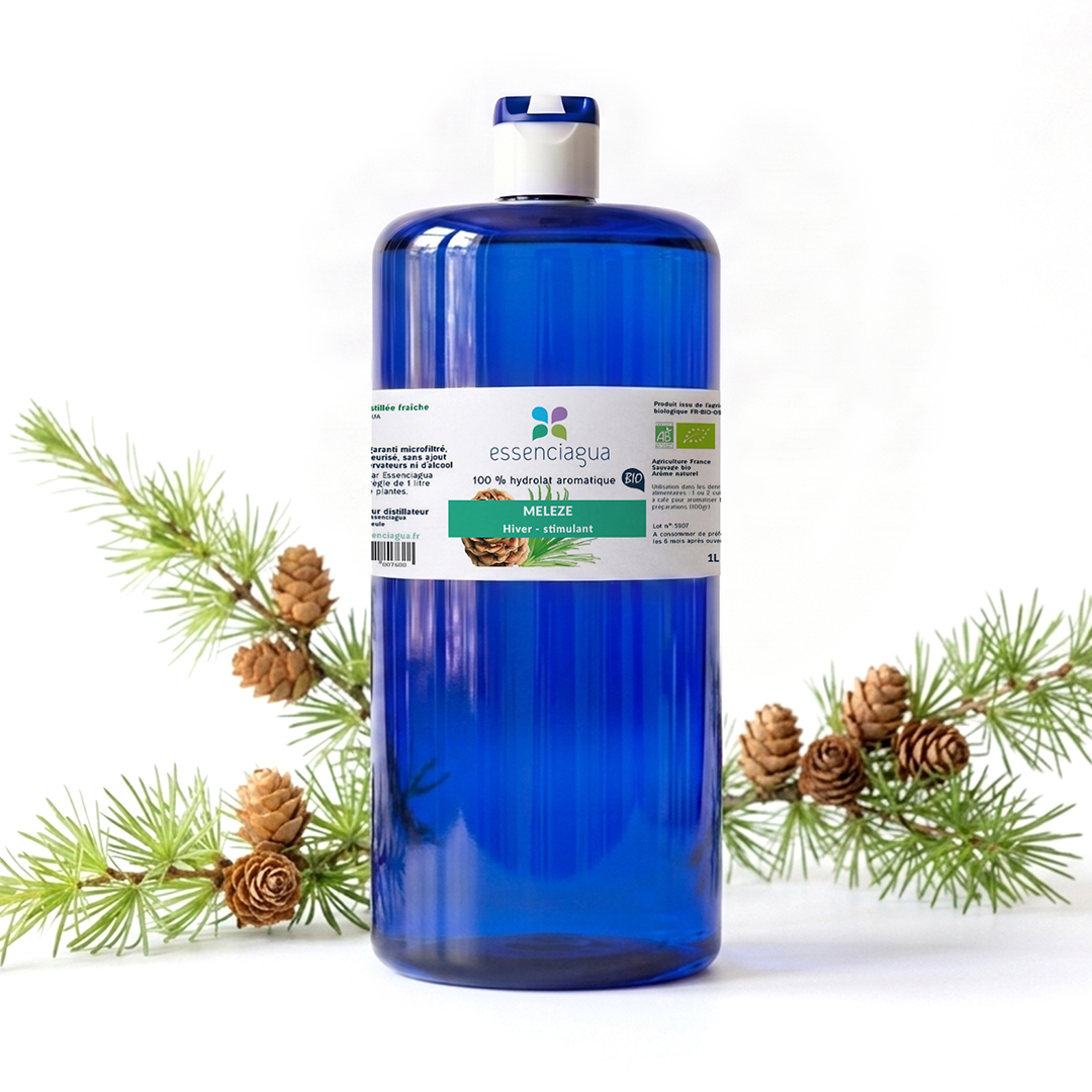 Hydrolat de Mélèze 100% Bio et Artisanal — photo 3