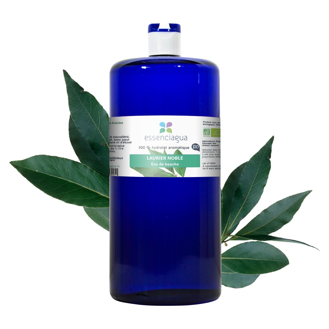 Hydrolat de Laurier noble 100% Bio et Artisanal — photo 3