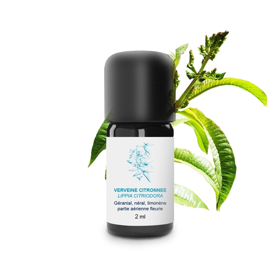 Huile Essentielle de Verveine citronnée 100% Bio et Artisanal