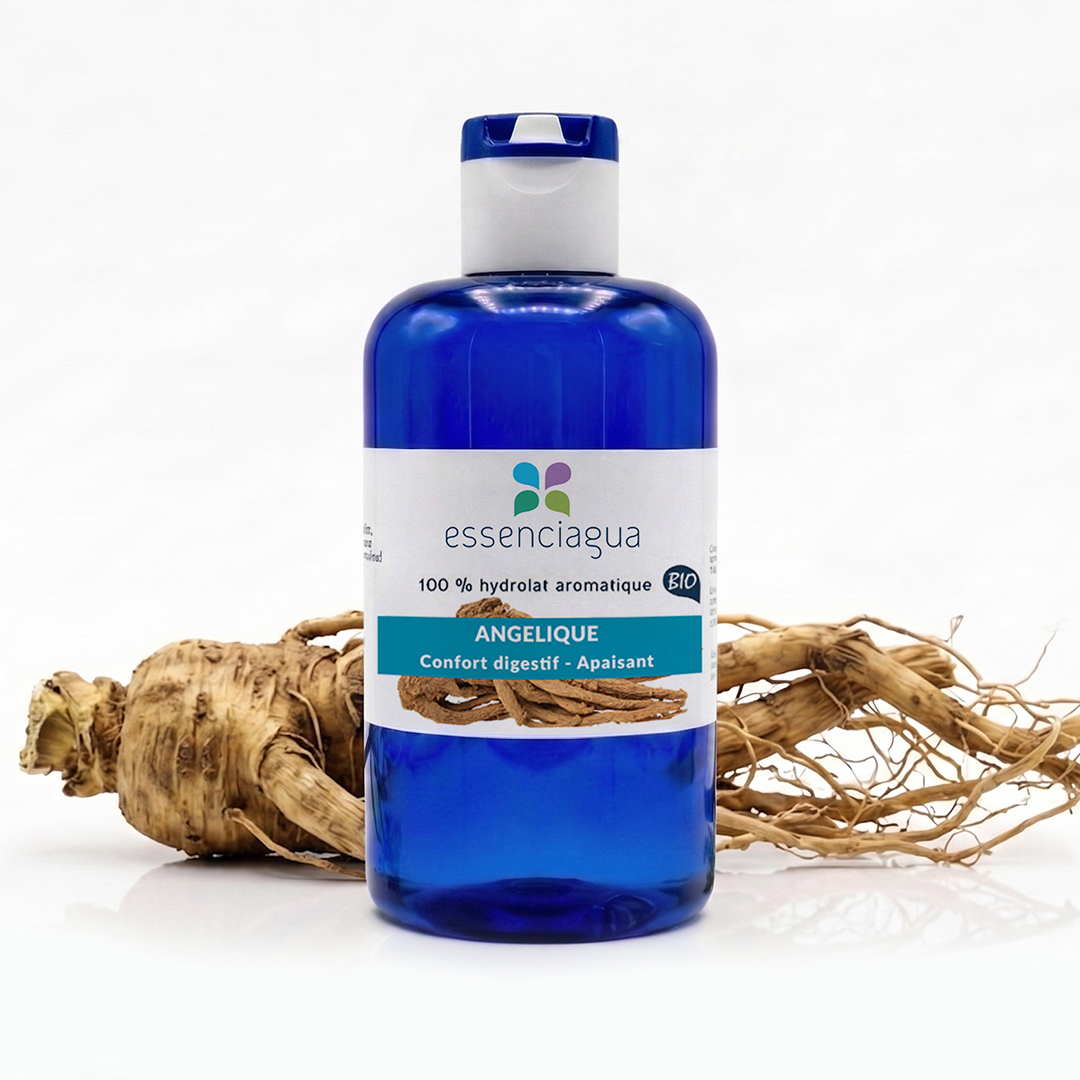 Hydrolat d'Angélique (Racine) 100% Bio et Artisanal