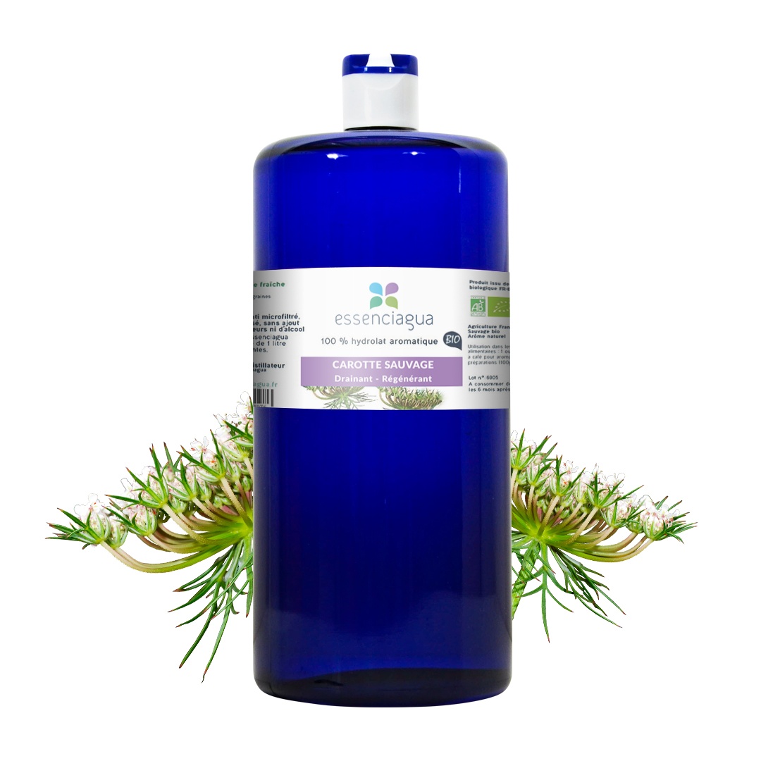 Hydrolat de Carotte sauvage 100% Bio et Artisanal — photo 3
