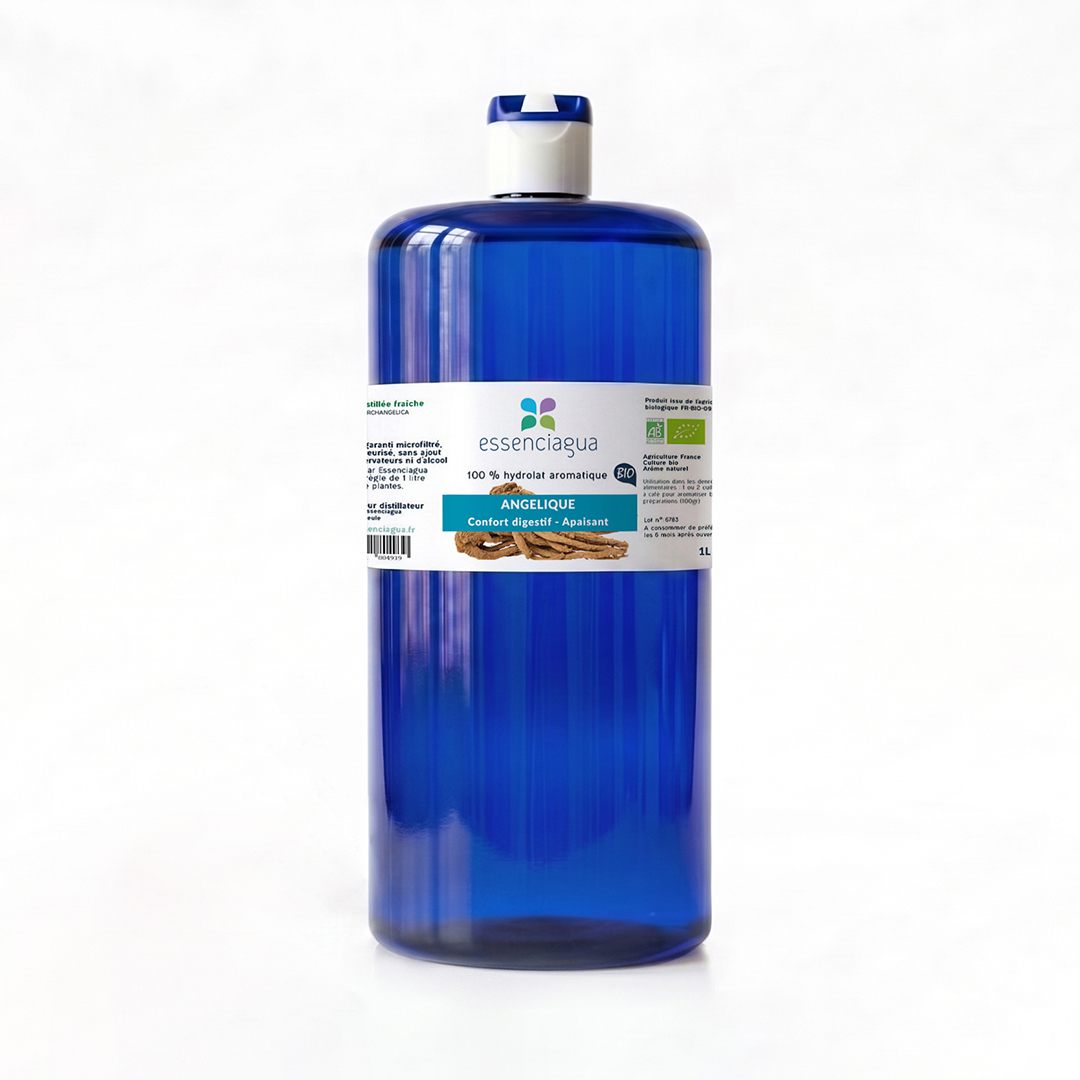 Hydrolat d'Angélique (Racine) 100% Bio et Artisanal — photo 4