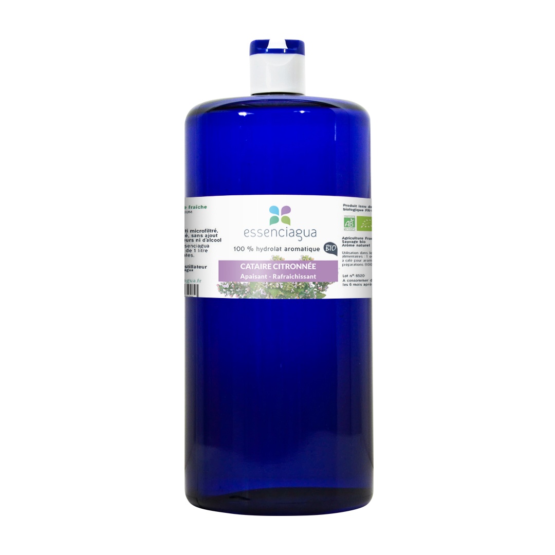 Hydrolat de Cataire citronnée 100% Bio et Artisanal — photo 4