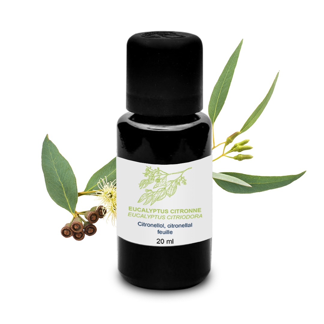 Huile Essentielle d'Eucalyptus citronné 100% Bio et Artisanal