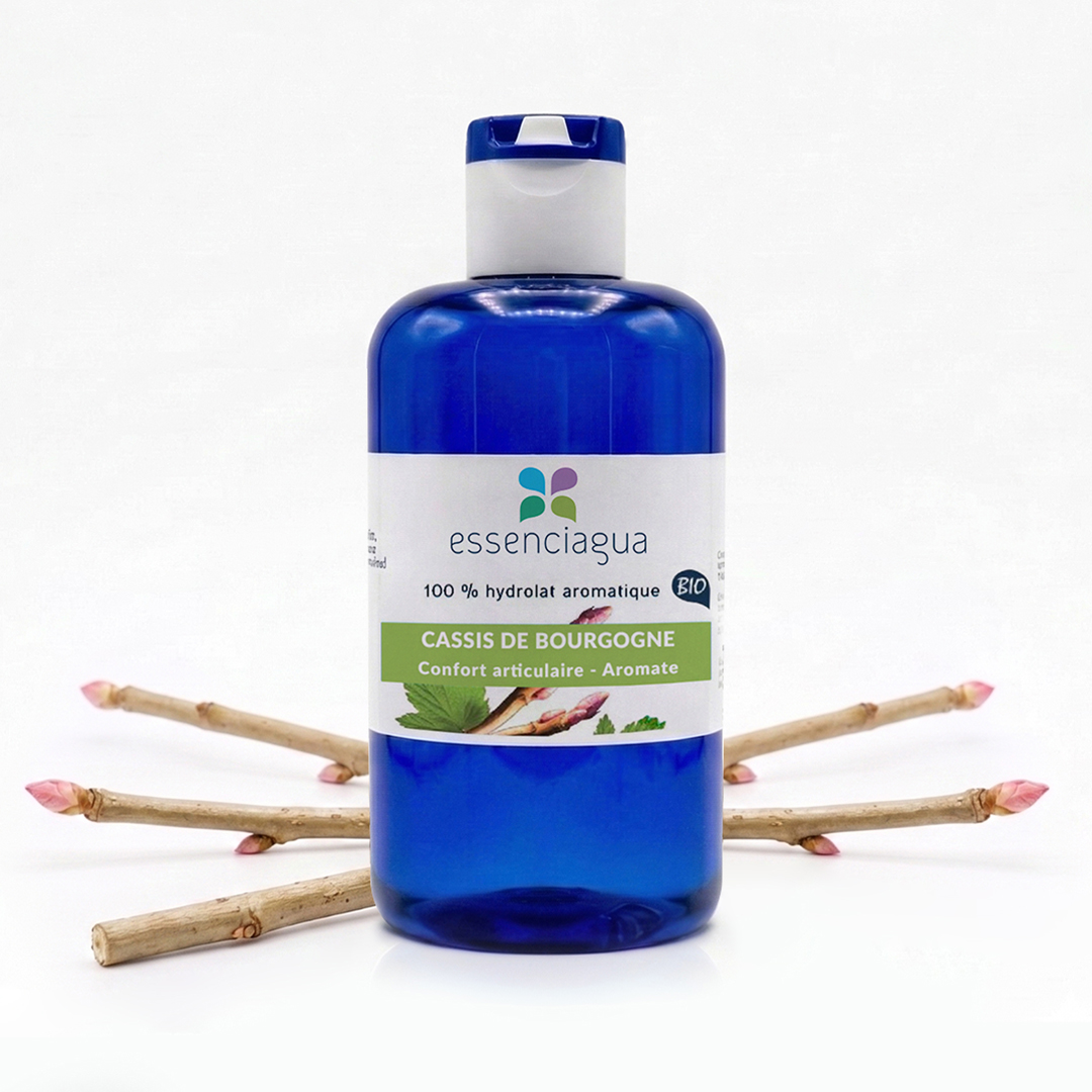 Hydrolat de Cassis de Bourgogne 100% Bio et Artisanal