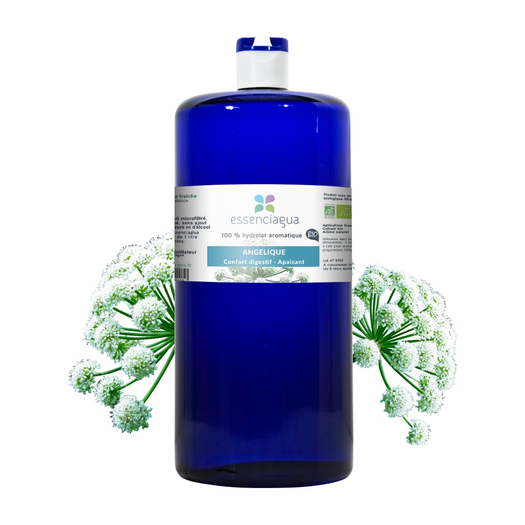 Hydrolat d'Angélique (Racine) 100% Bio et Artisanal — photo 3