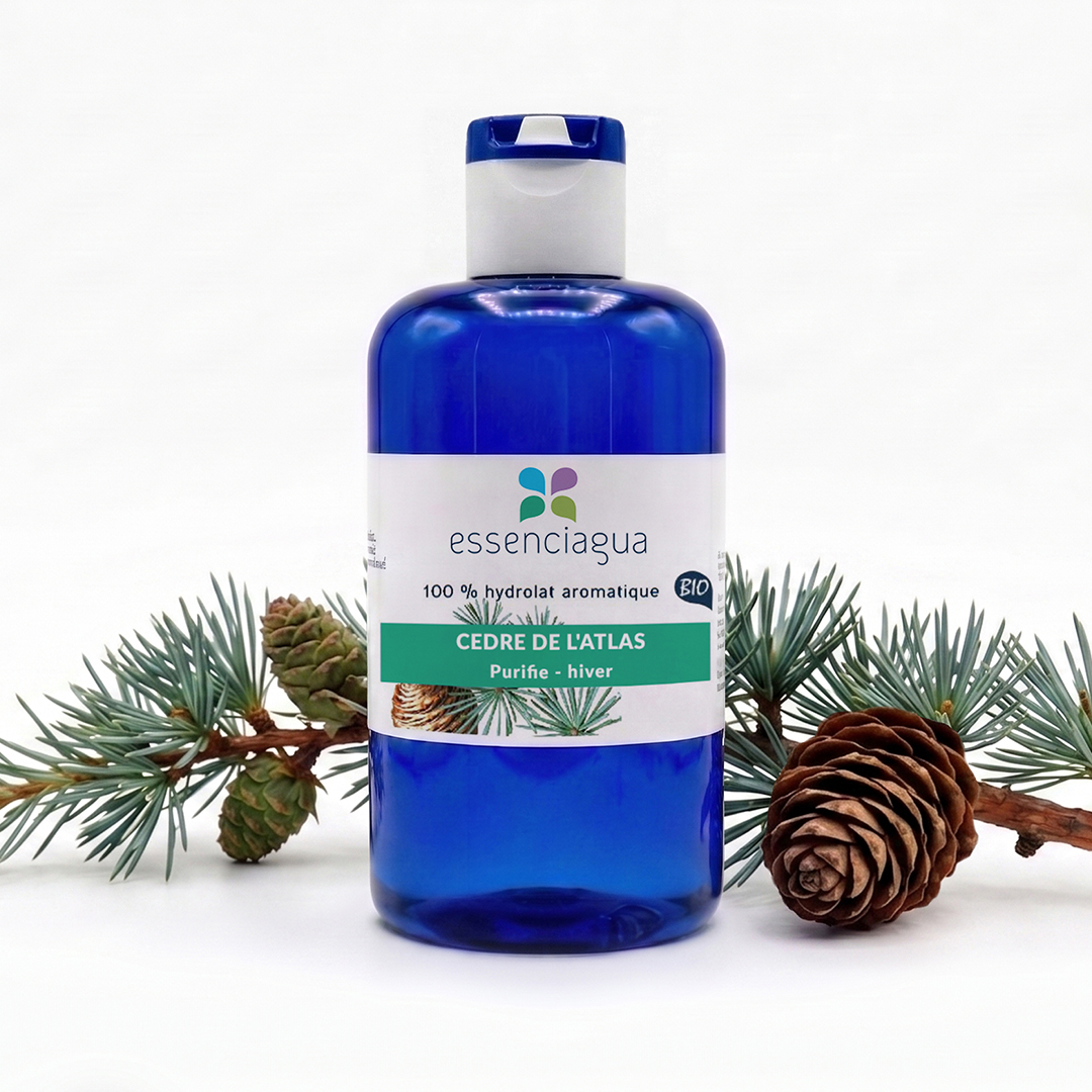 Hydrolat de Cèdre de l'Atlas 100% Bio et Artisanal