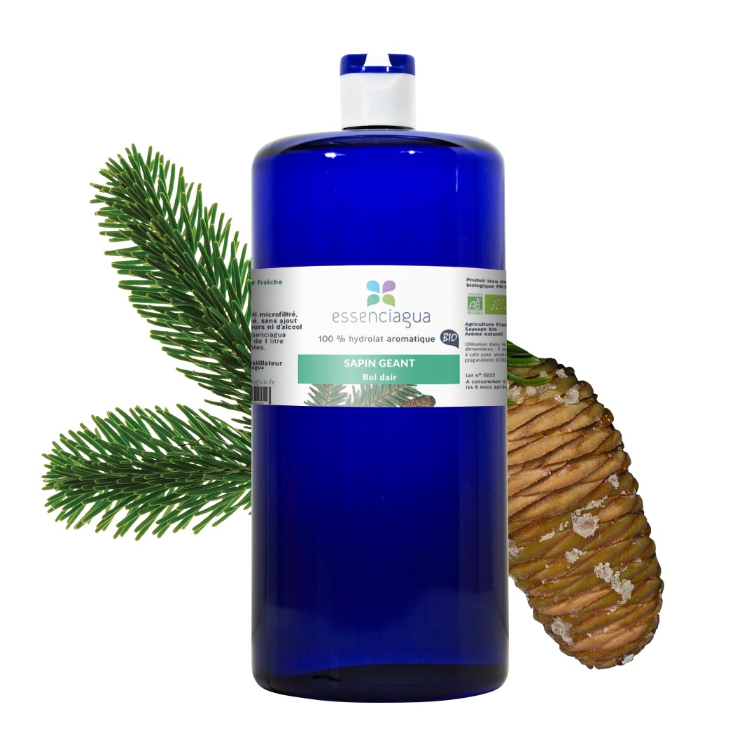 Hydrolat de Sapin géant 100% Bio et Artisanal — photo 3