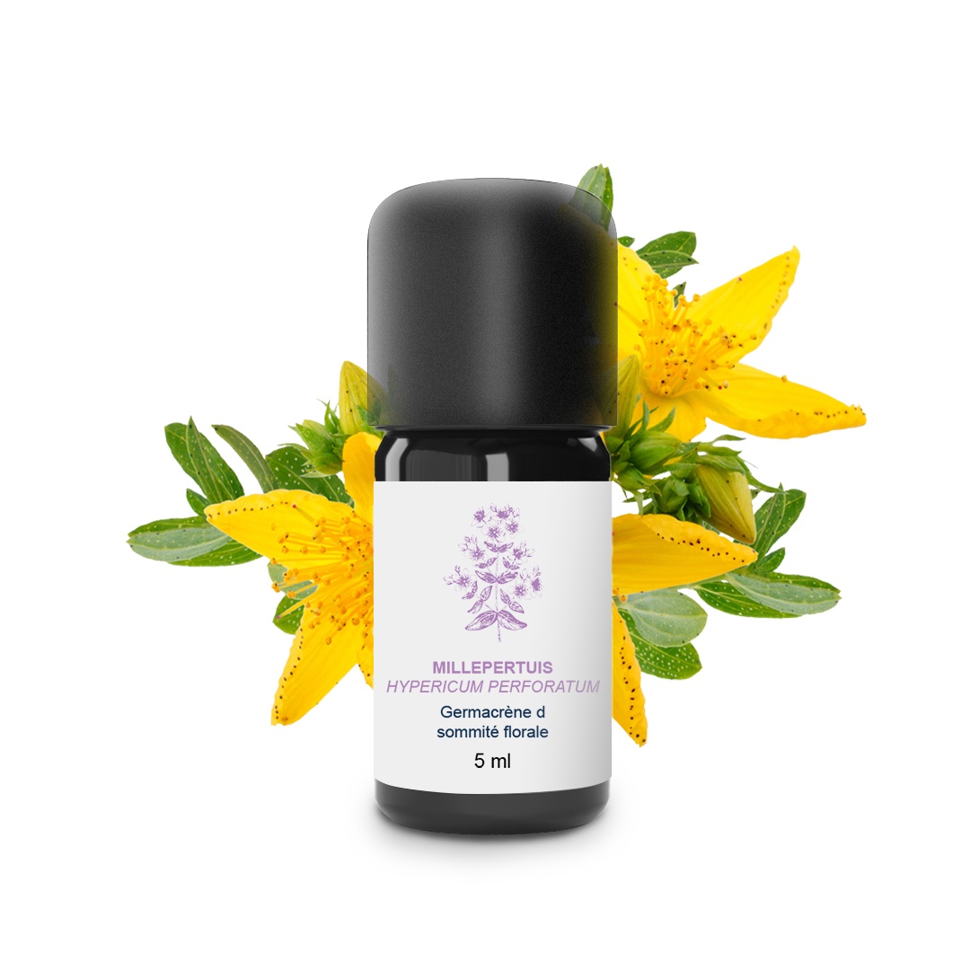 Huile Essentielle de Millepertuis 100% Bio et Artisanal