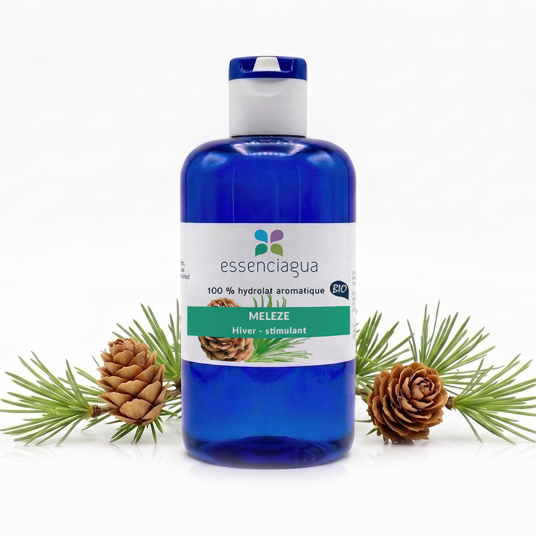 Hydrolat de Mélèze 100% Bio et Artisanal