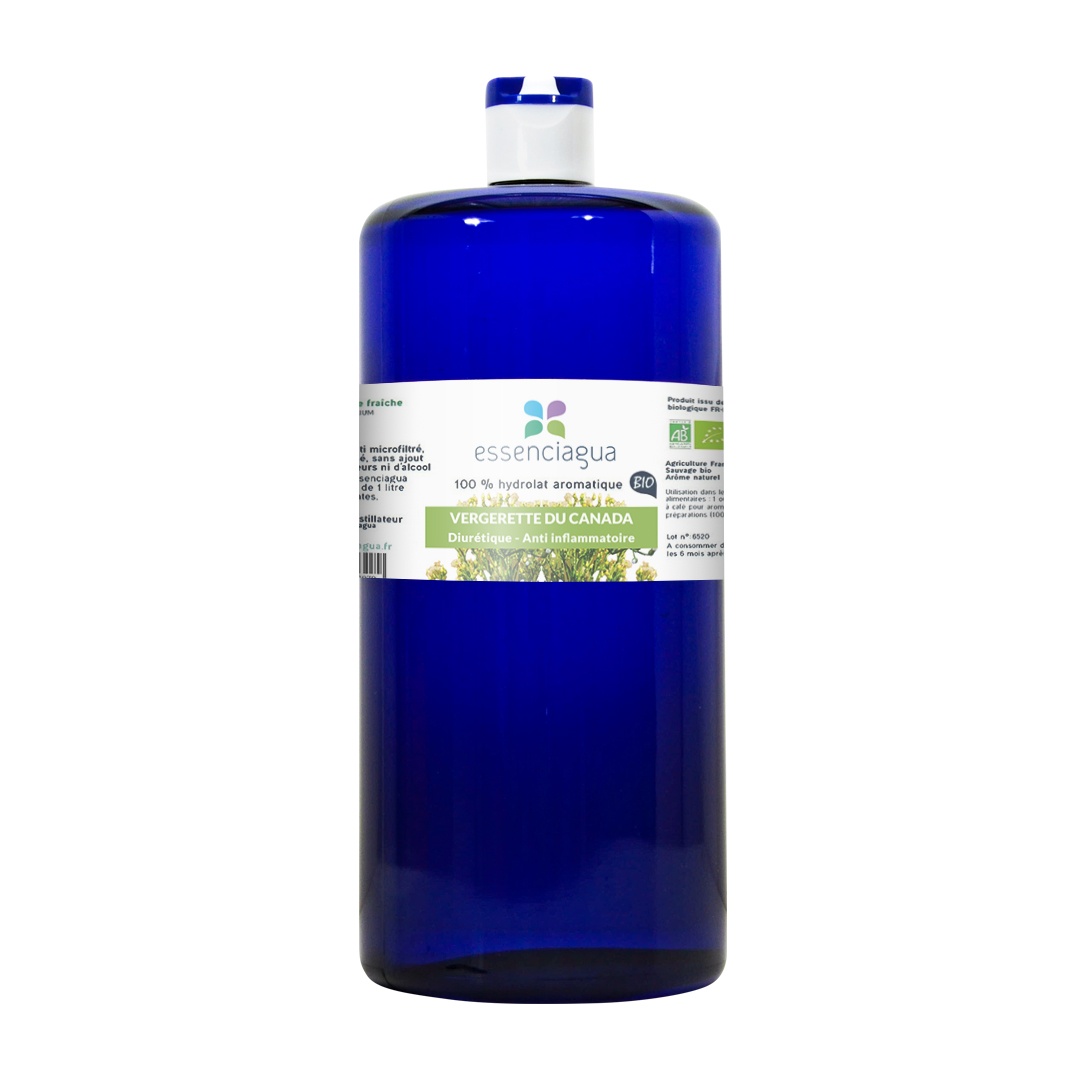 Hydrolat de Vergerette du Canada 100% Bio et Artisanal — photo 4
