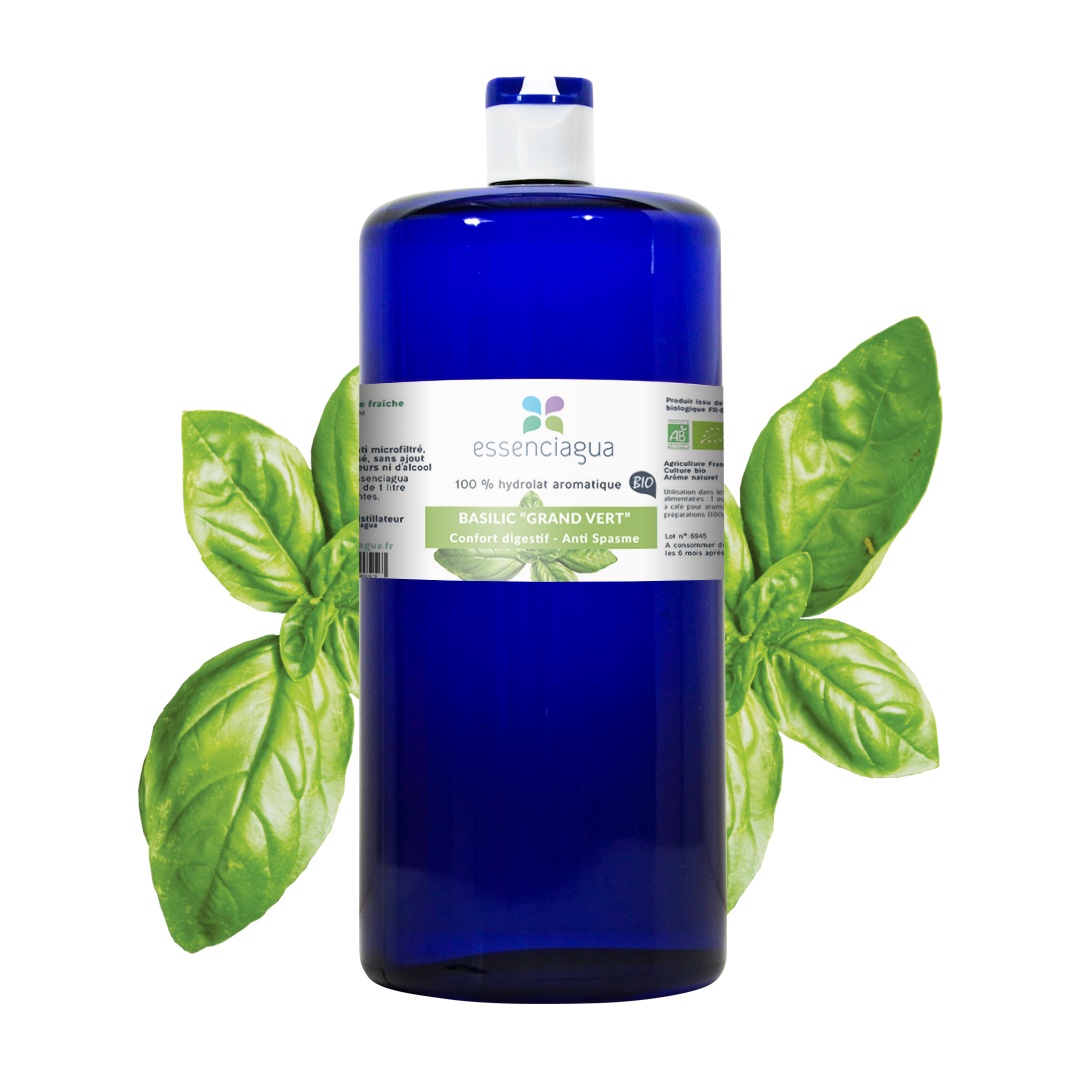 Hydrolat de Basilic grand vert 100% Bio et Artisanal — photo 3
