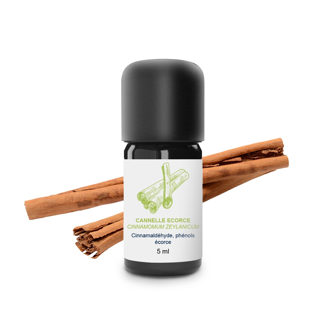 Huile Essentielle de Cannelle (Écorce) 100% Bio et Artisanal