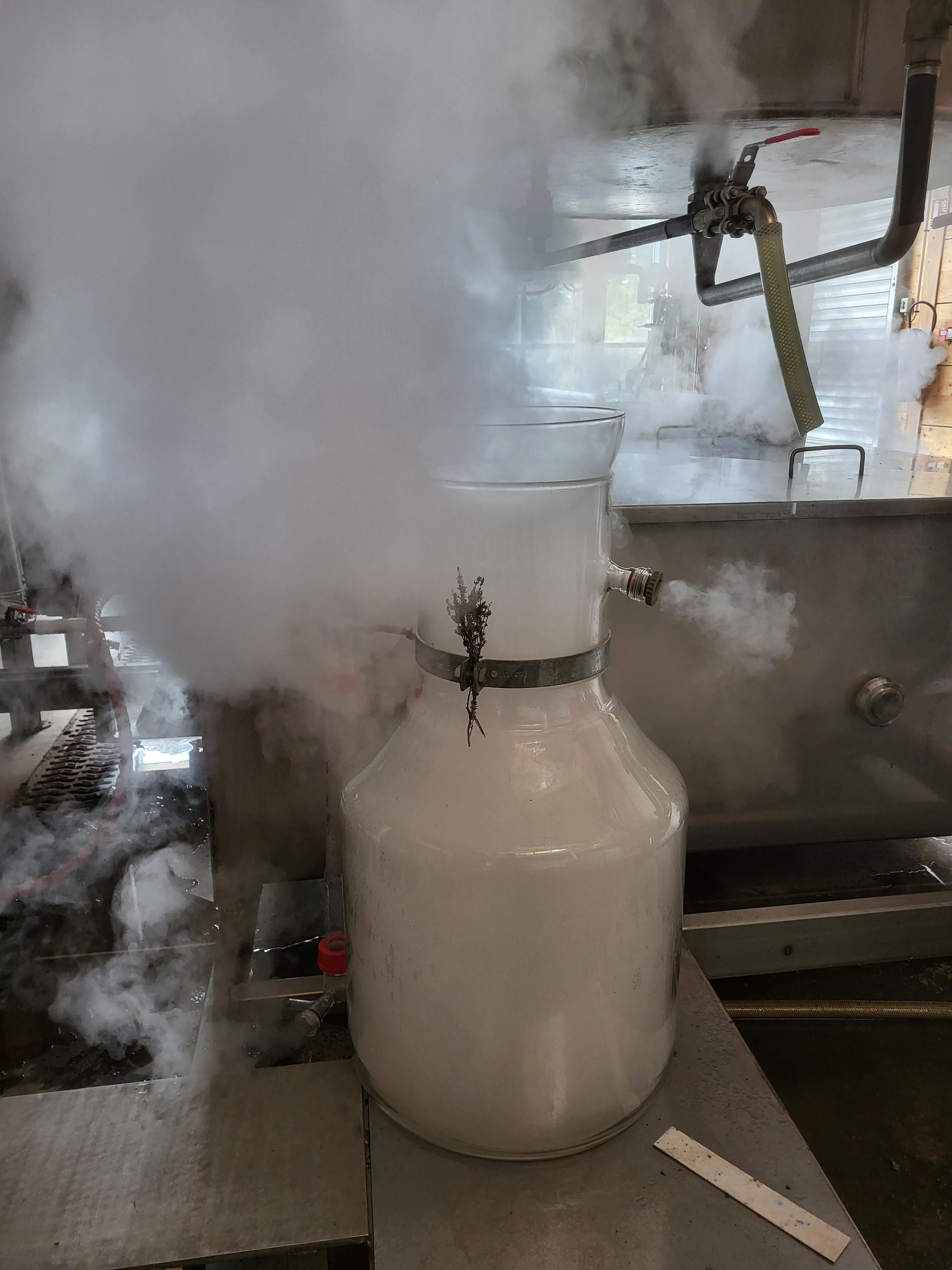 Decouvrez la distillation Hydrolat de Thym thymol 100% Bio et Artisanal