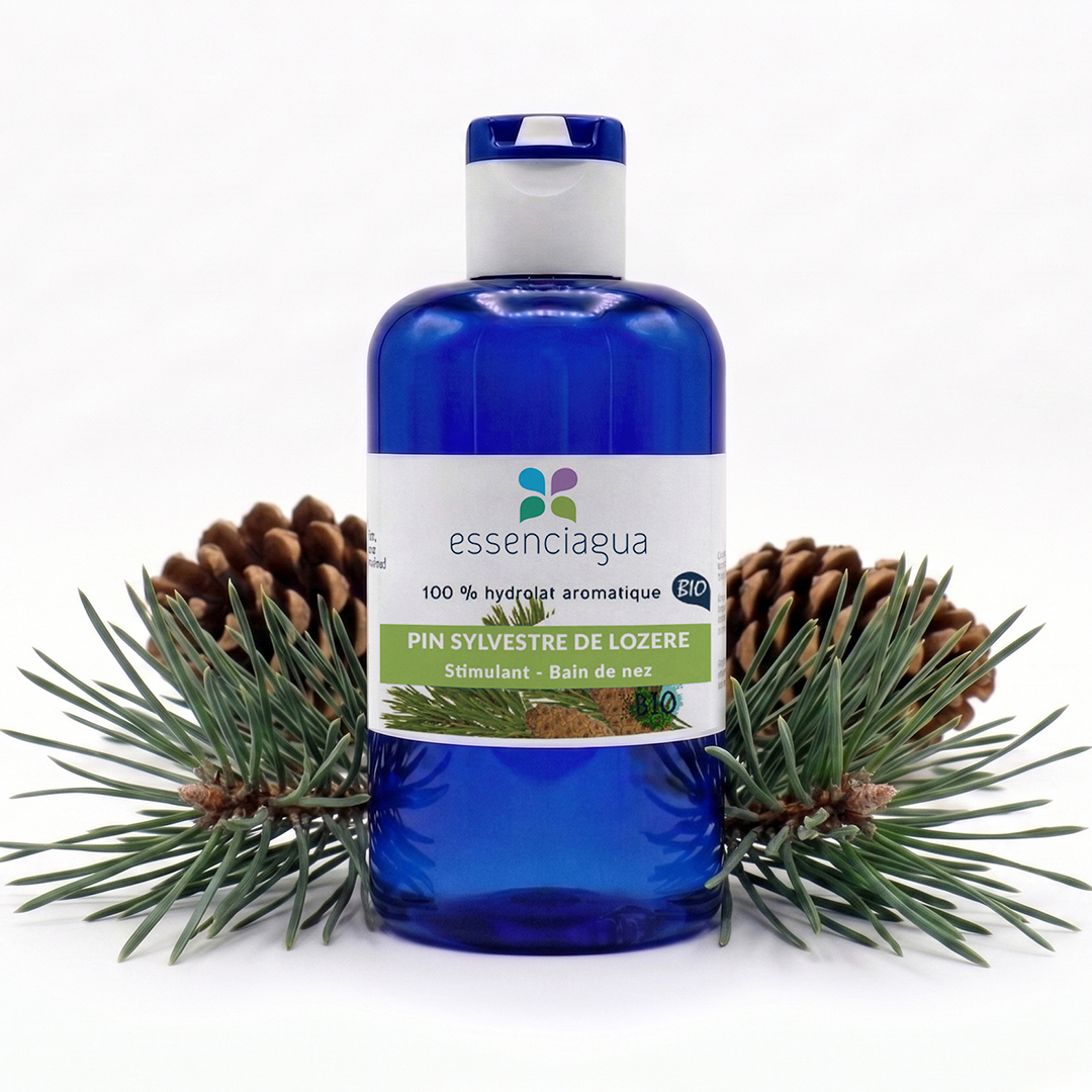 Hydrolat de Pin sylvestre 100% Bio et Artisanal