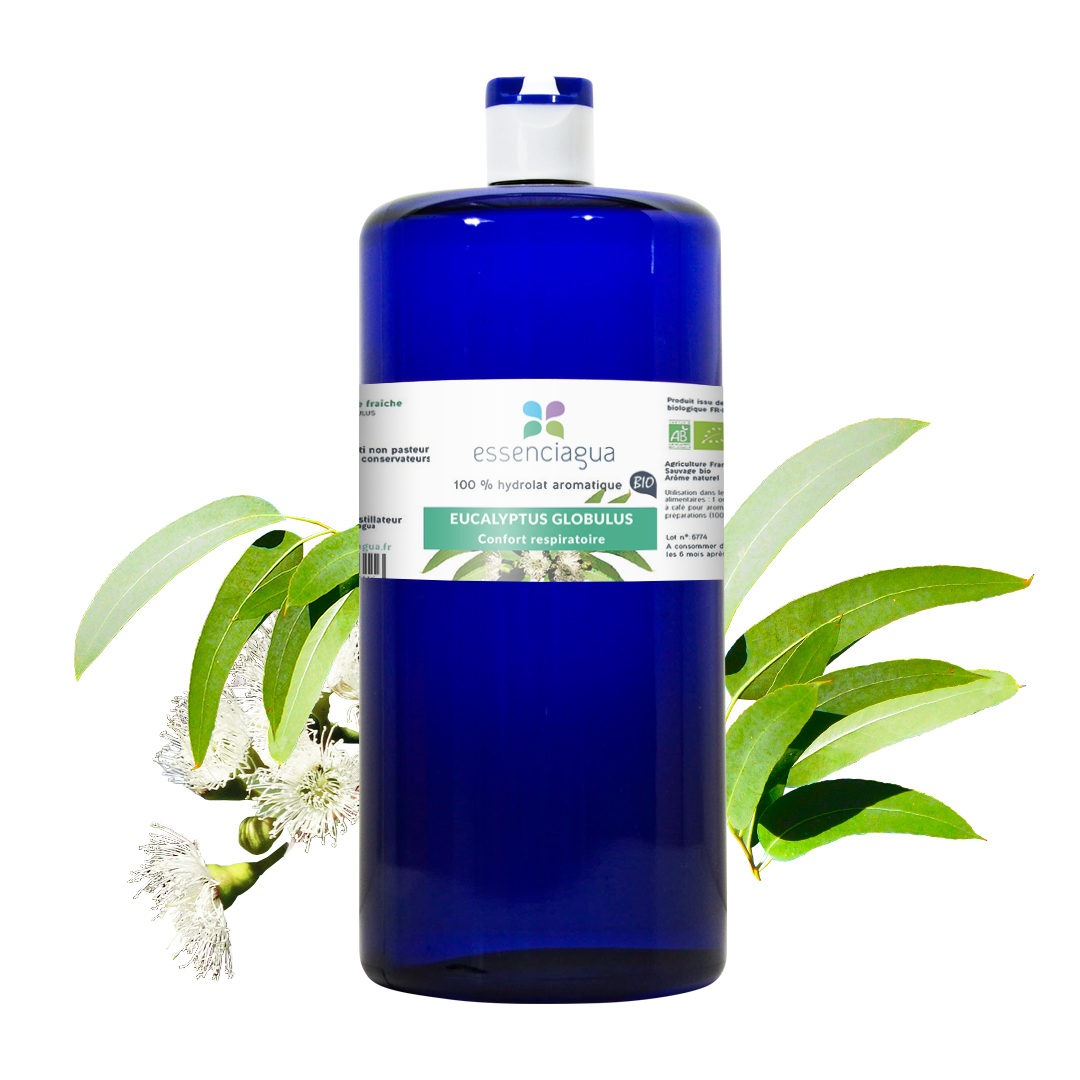 Hydrolat d'Eucalyptus globulus 100% Bio et Artisanal — photo 3