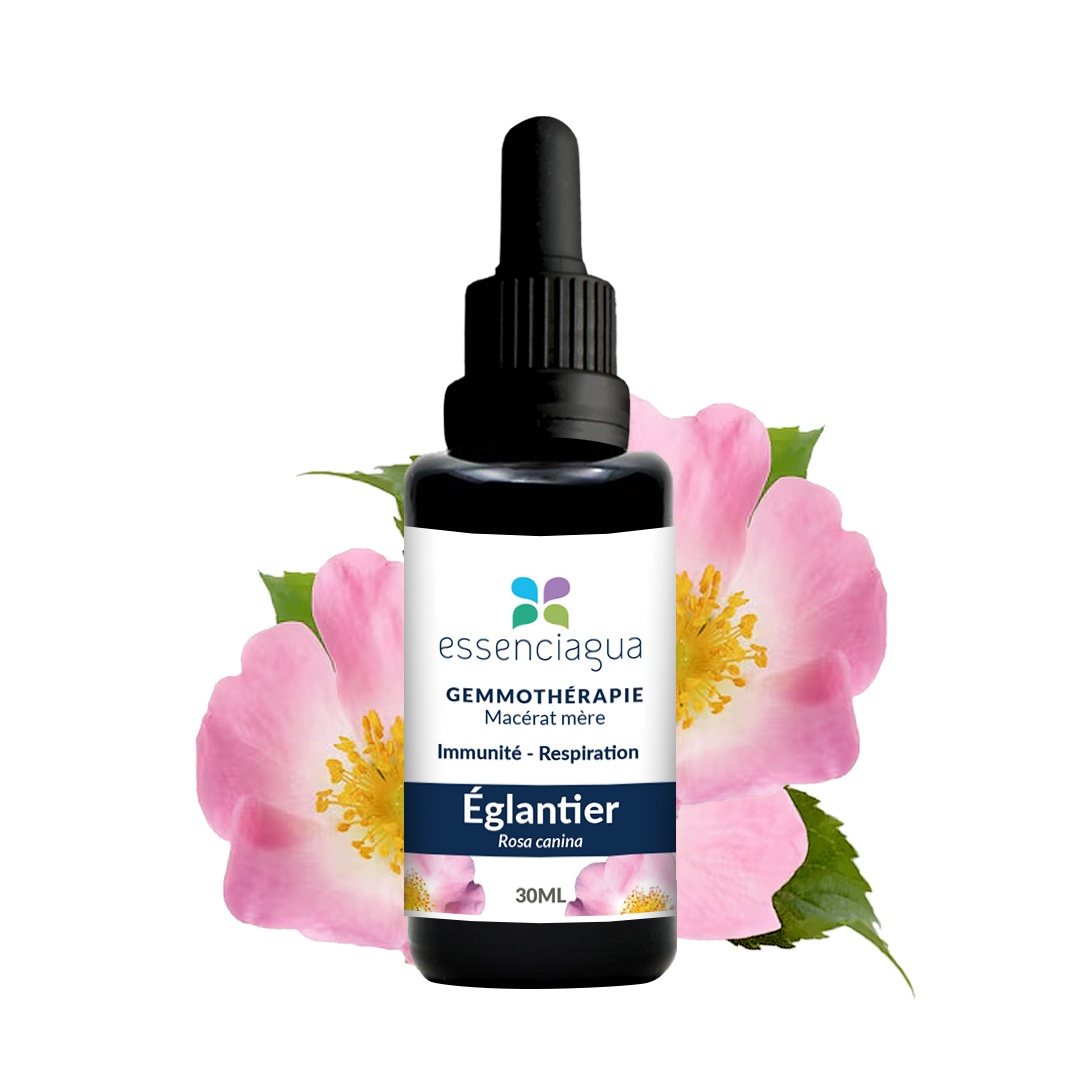 Macérat de bourgeons bio Églantier 100% Bio et Artisanal