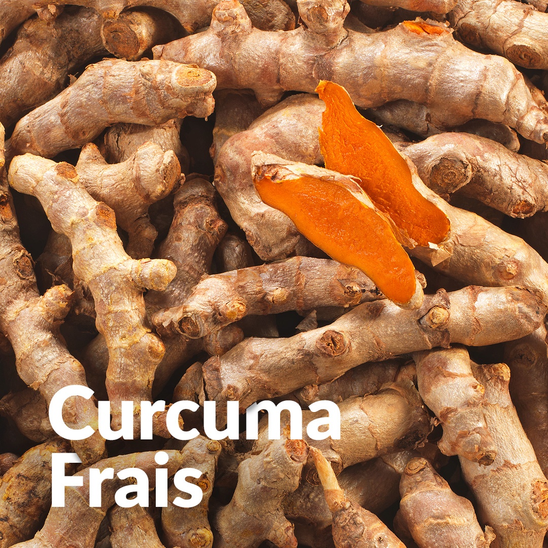 Curcuma (Rhizome)