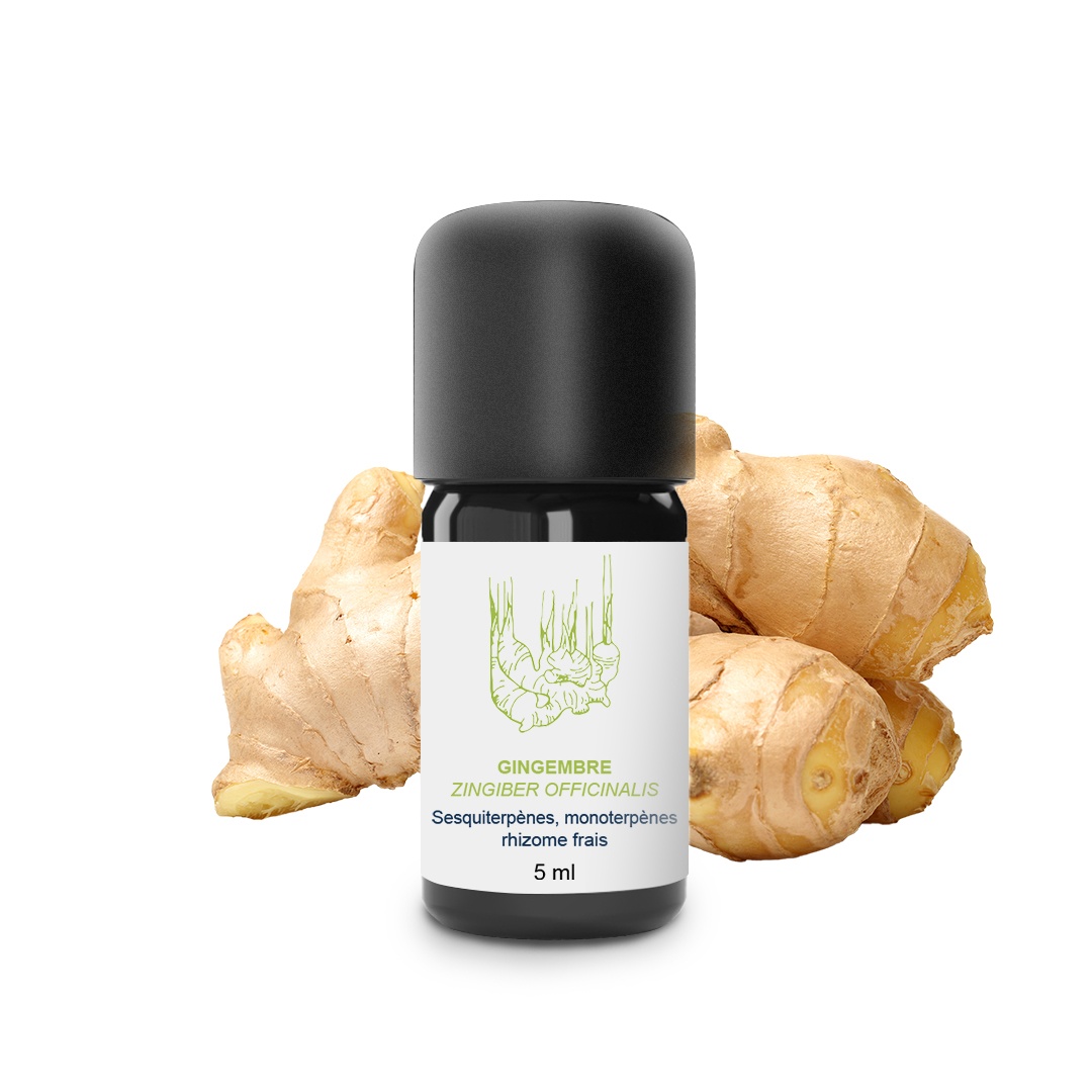 Huile Essentielle de Gingembre frais 100% Bio et Artisanal