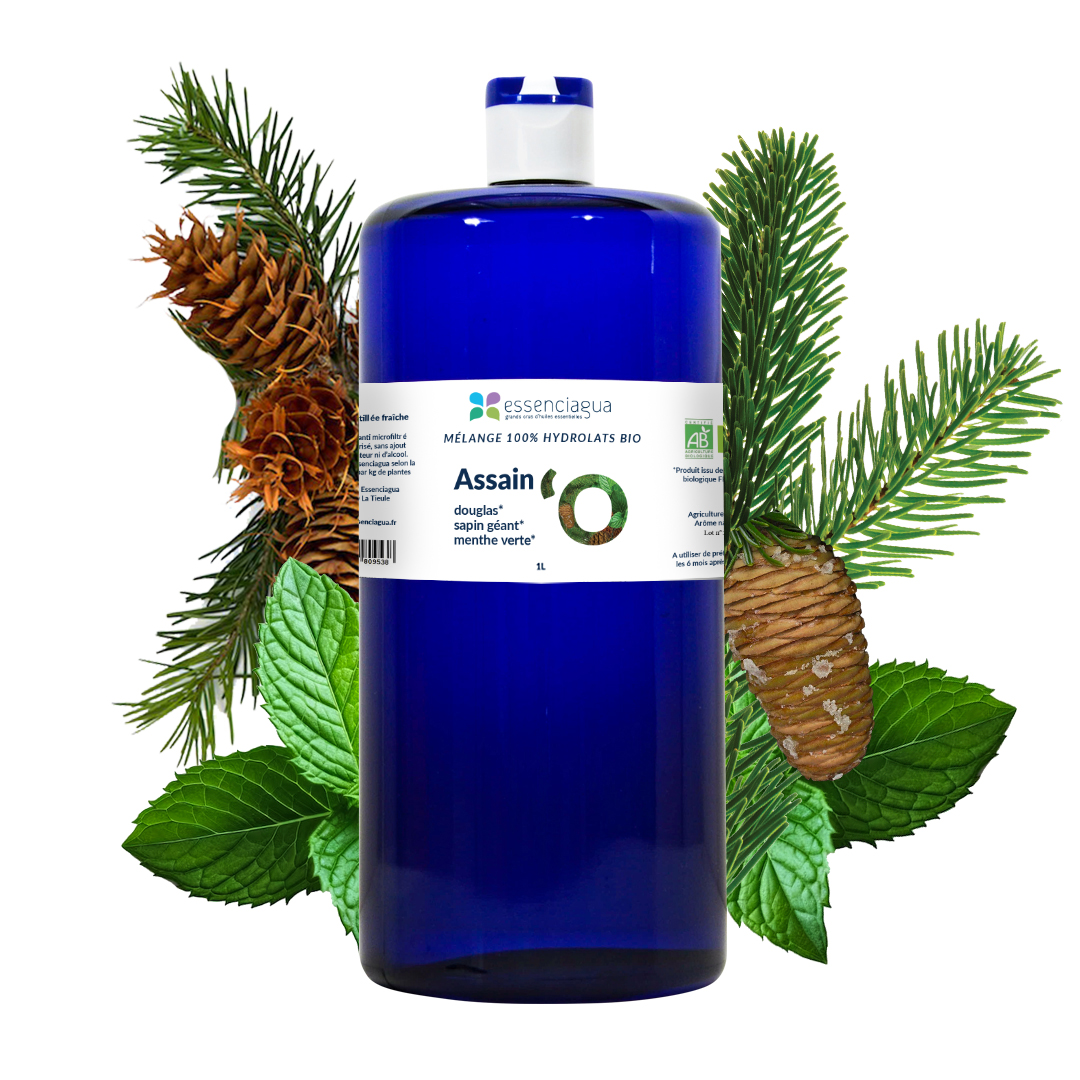 Mélange d'hydrolats aromatiques Assain'O — photo 3