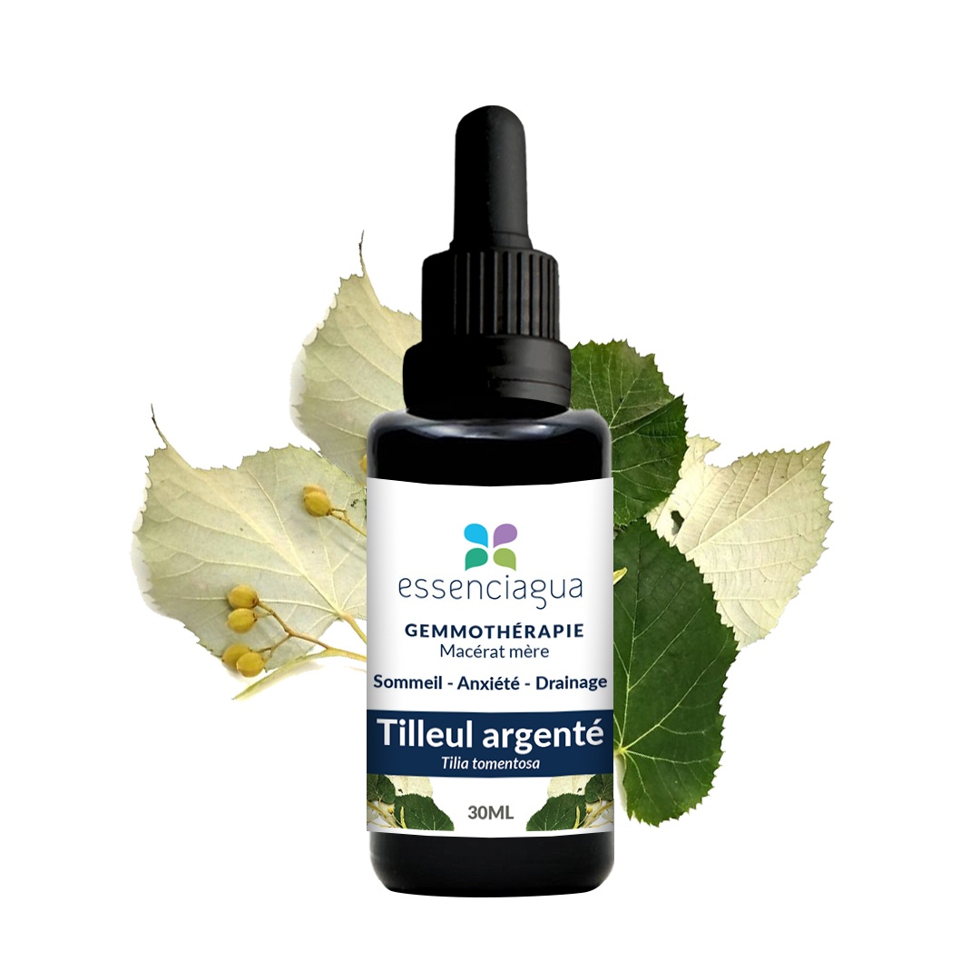 Macérat de bourgeons bio Tilleul argenté 100% Bio et Artisanal
